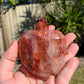 Fire Quartz Turtle