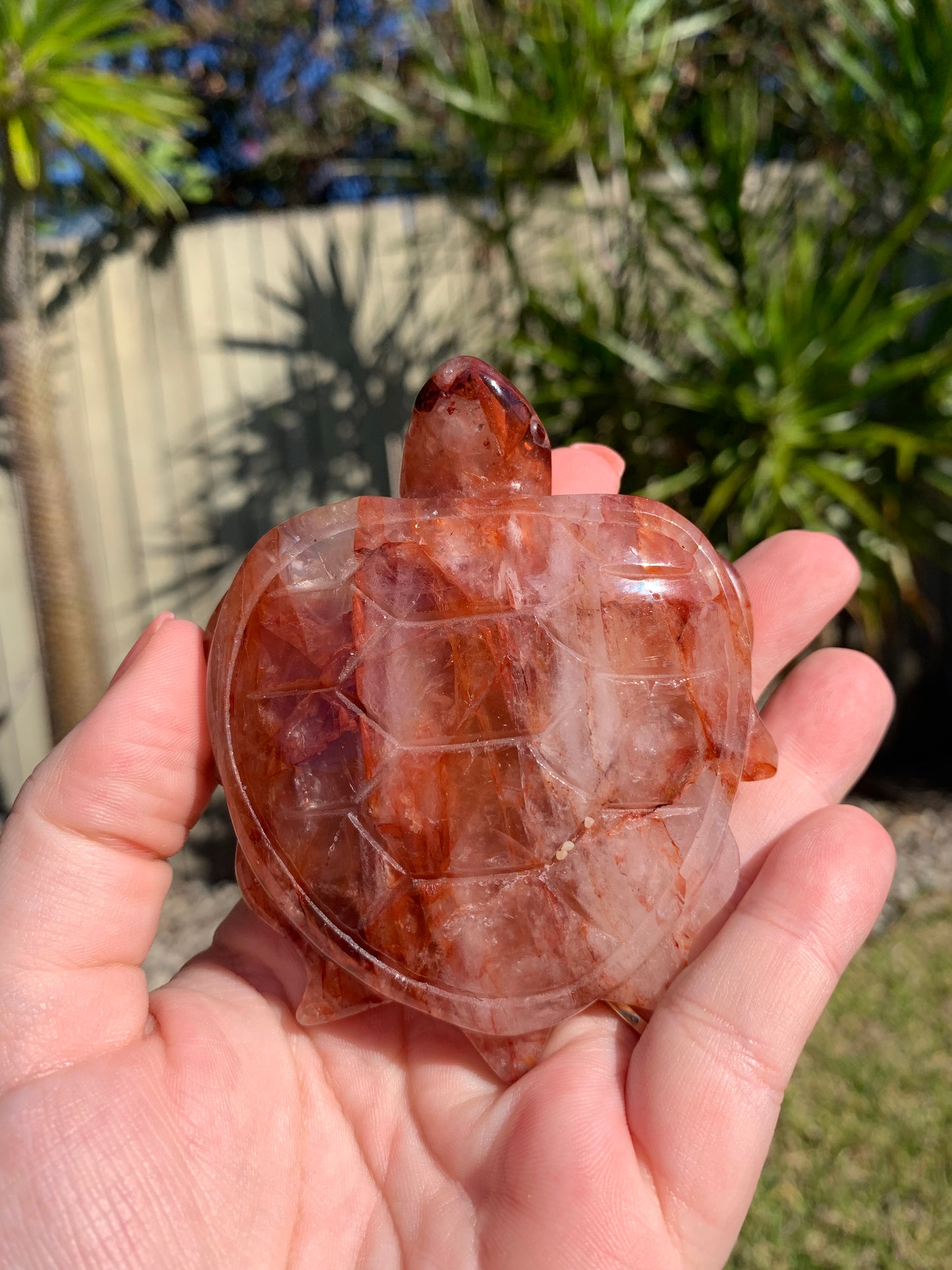 Fire Quartz Turtle