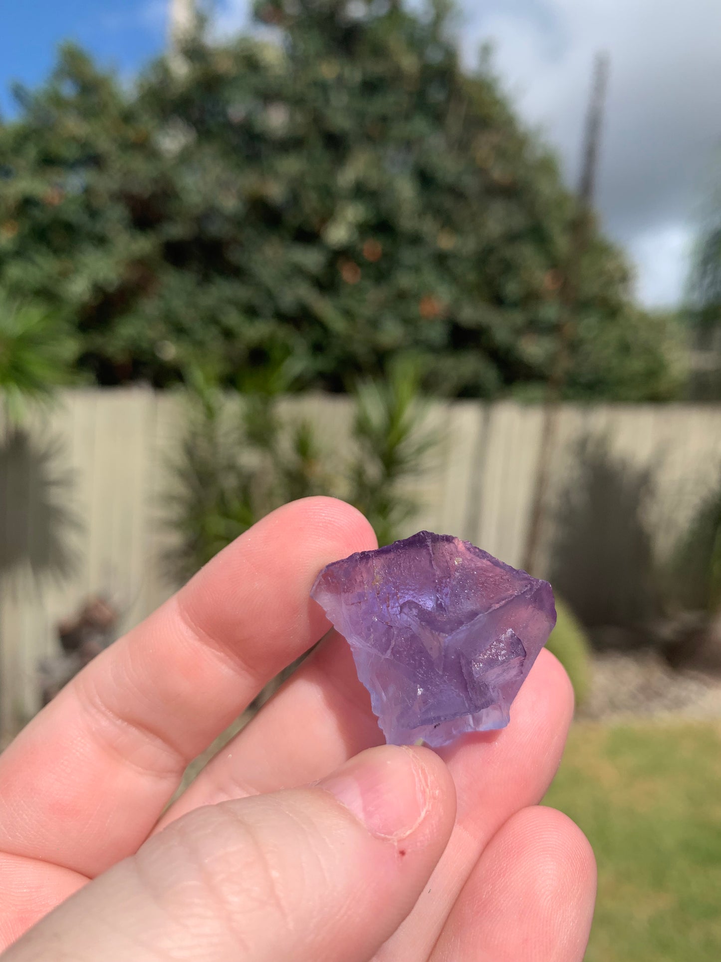 Blue Fluorite Cubic Raw