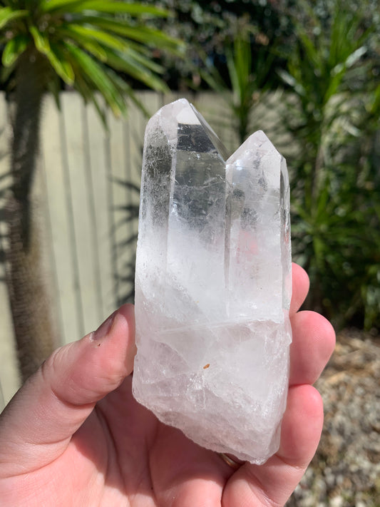 Clear Quartz Cluster