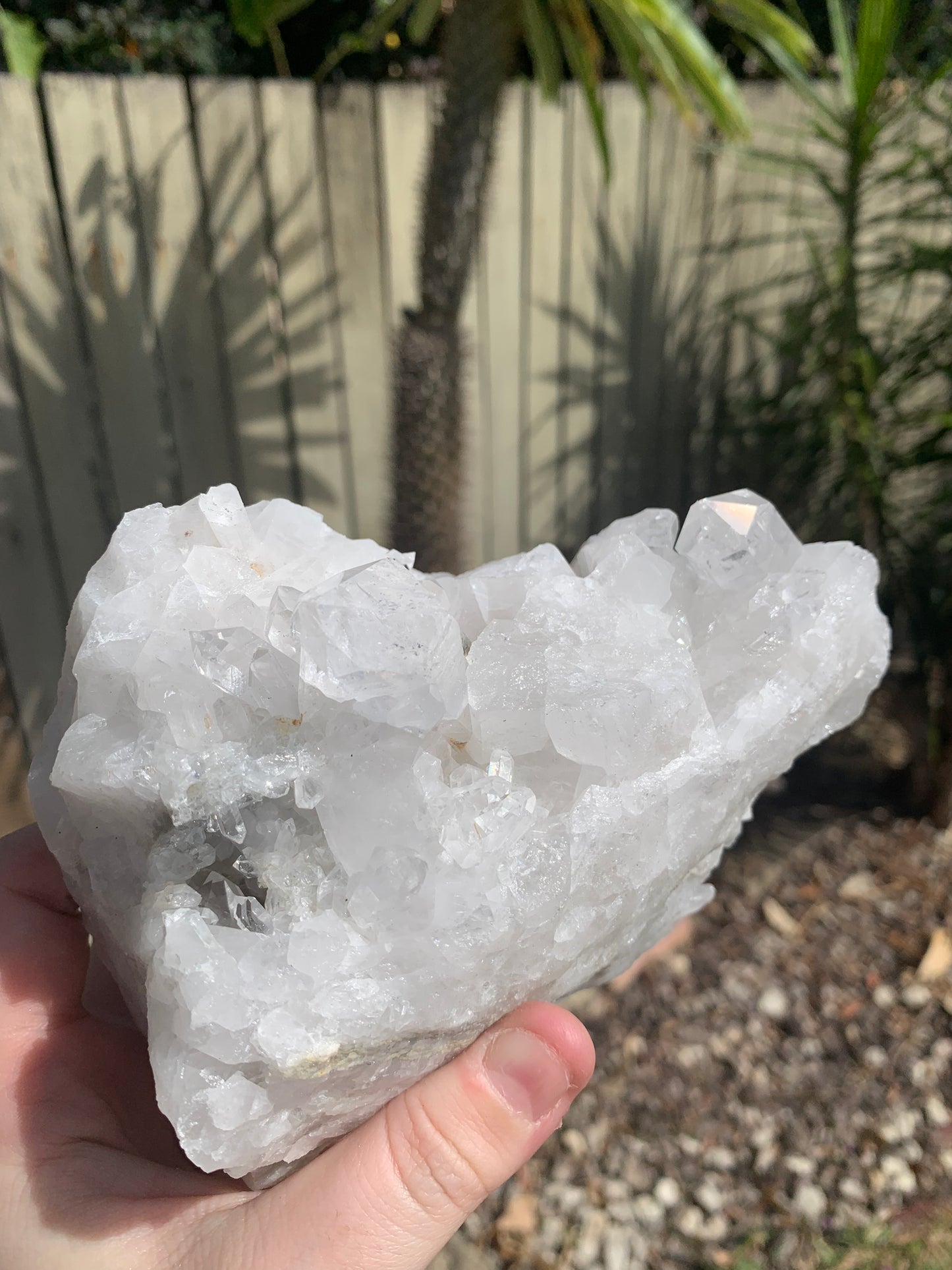 Clear Quartz Cluster