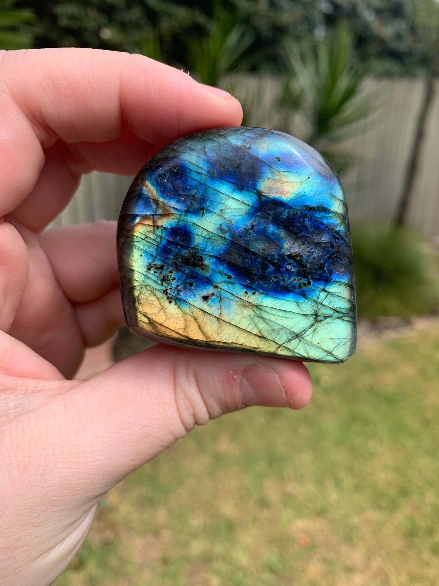 Labradorite Freeform