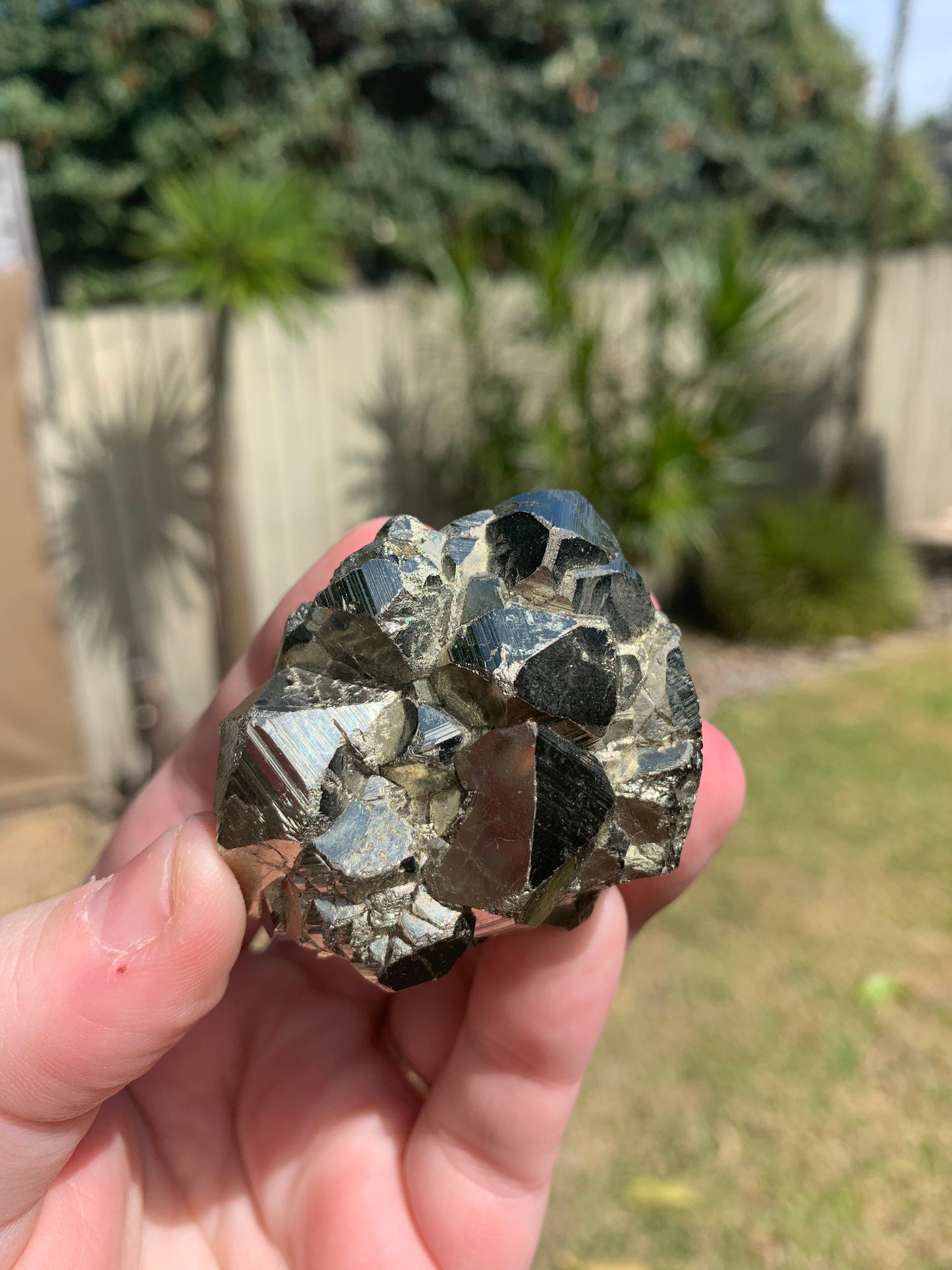 Pyrite Chunk