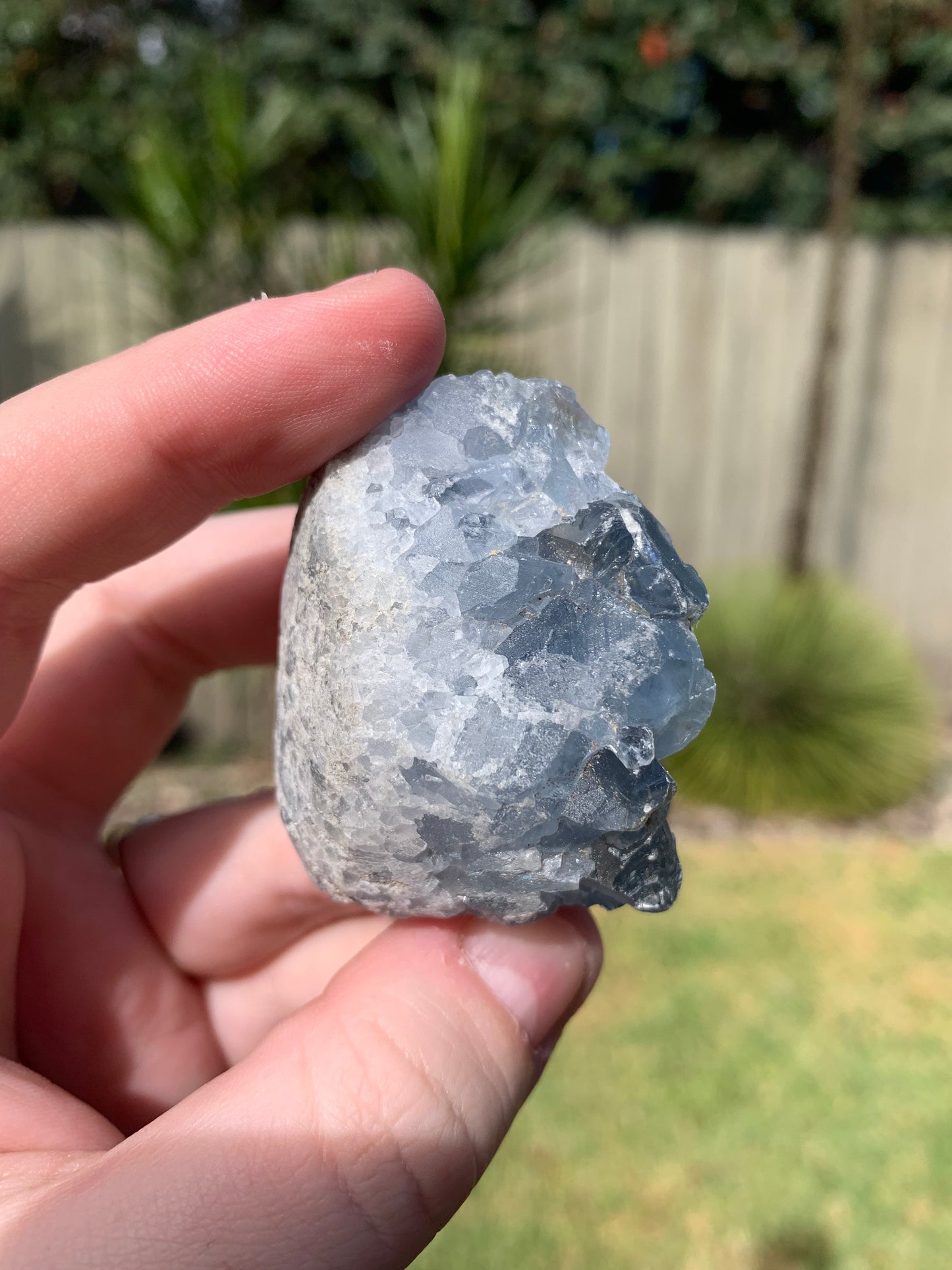 Celestite Freeform