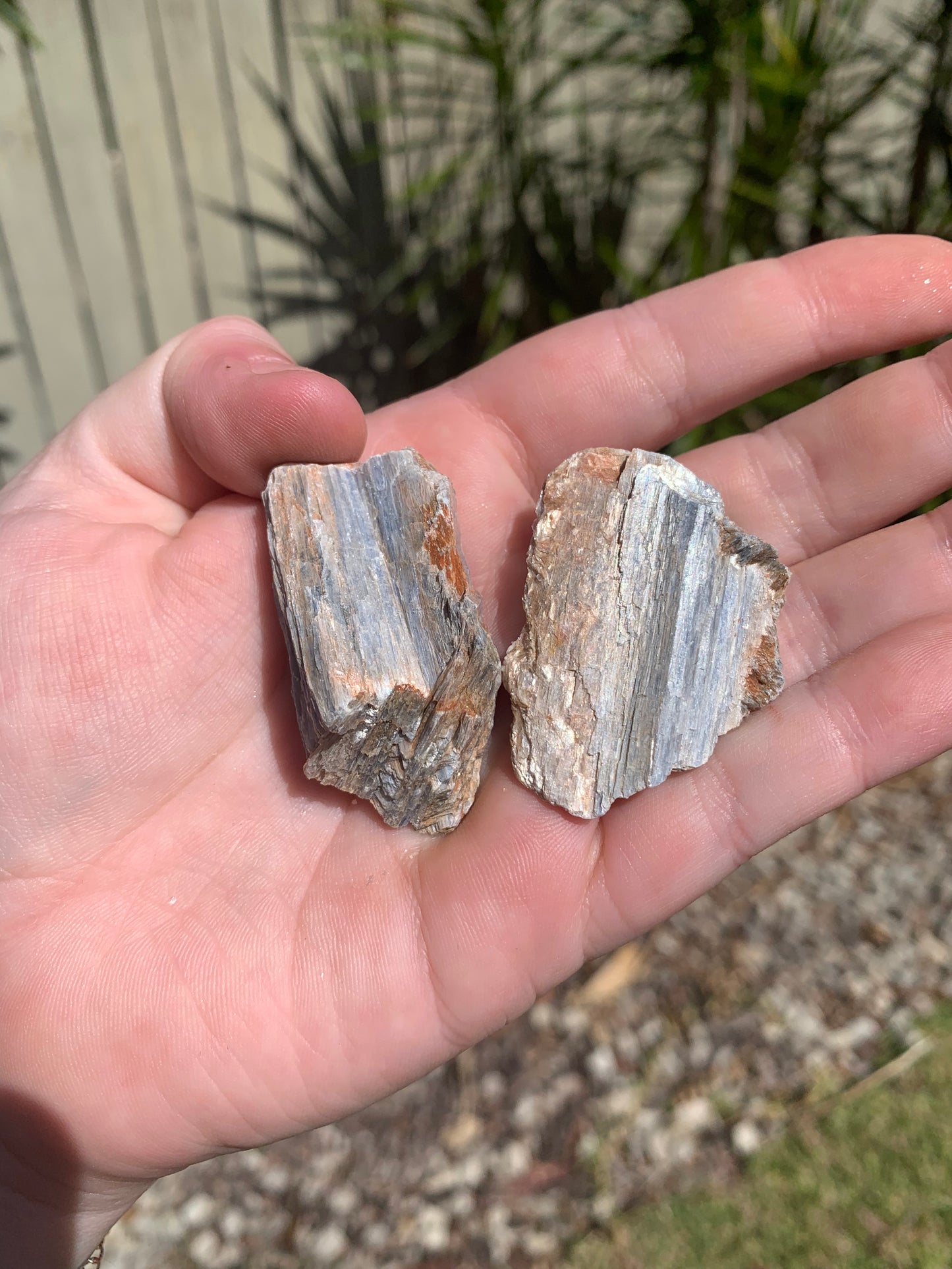 Kyanite Raw C