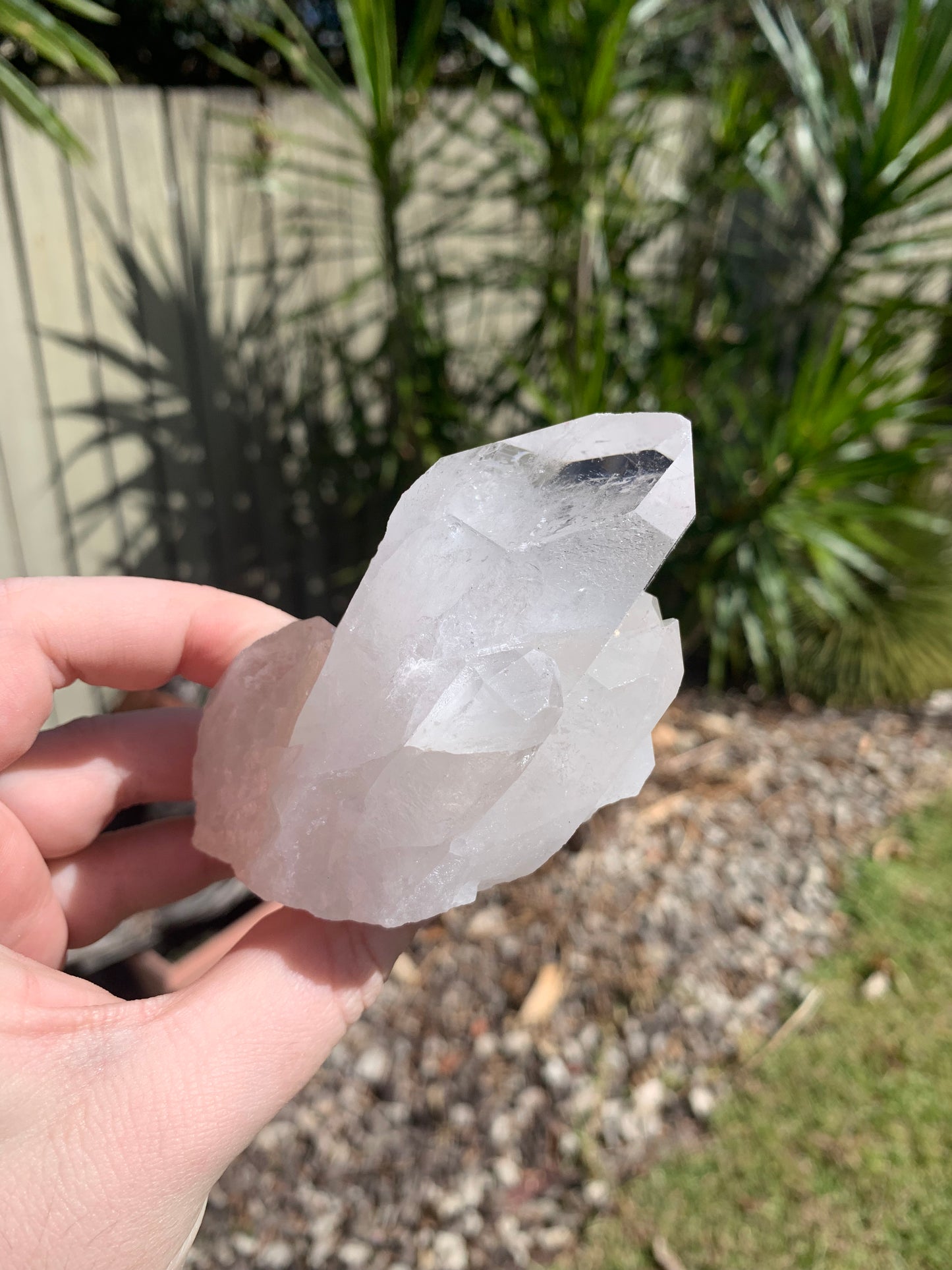 Clear Quartz Cluster