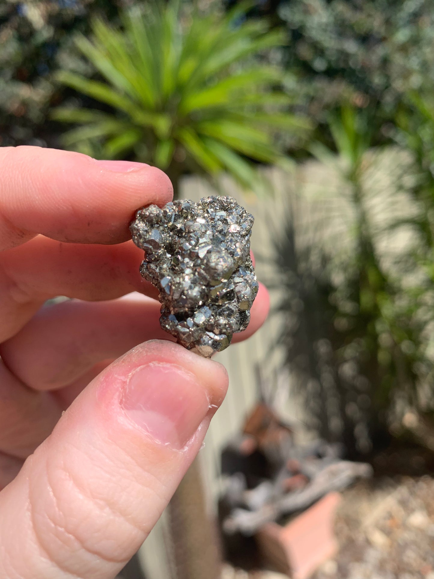 Pyrite Raw