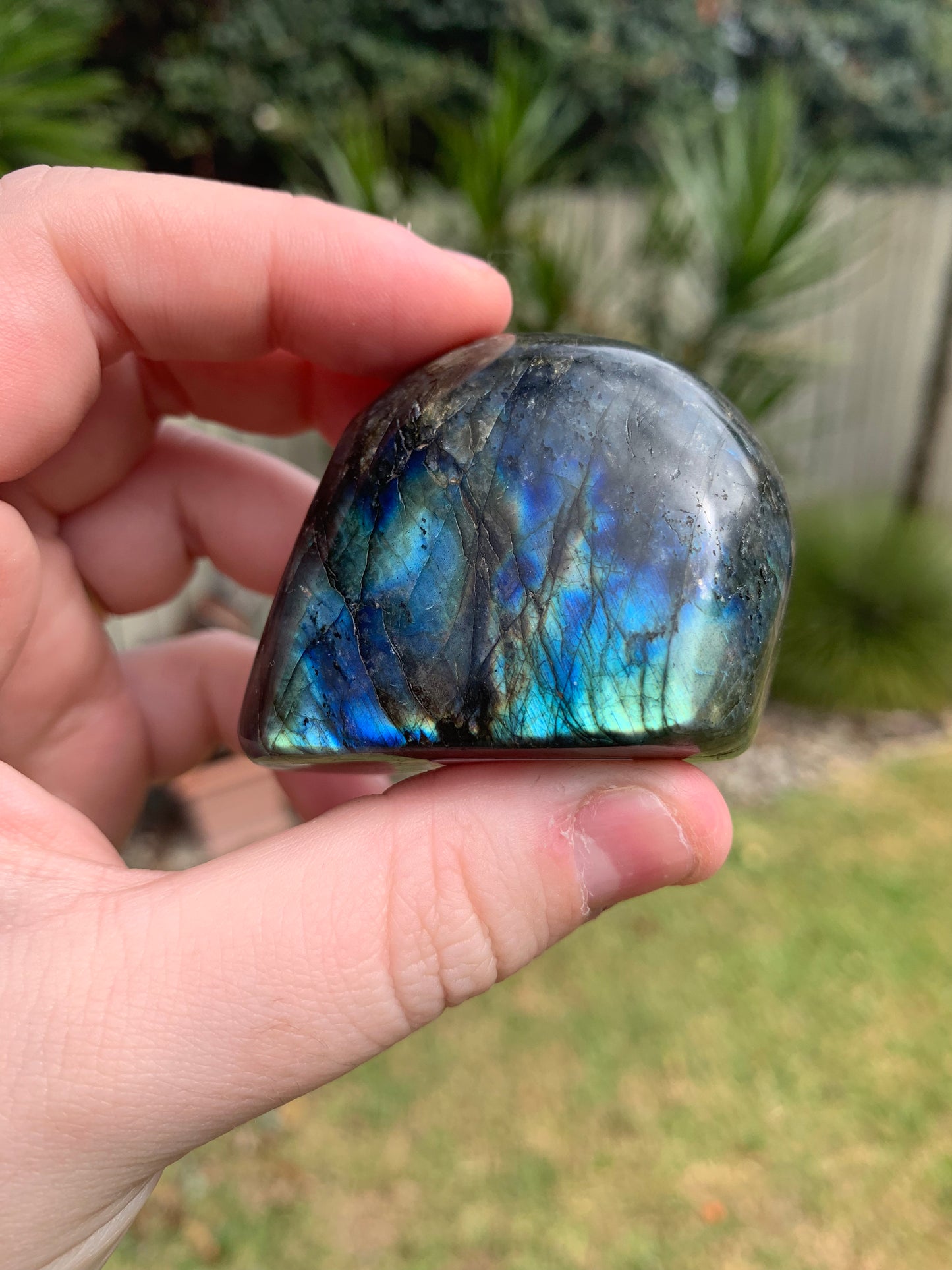 Labradorite Freeform