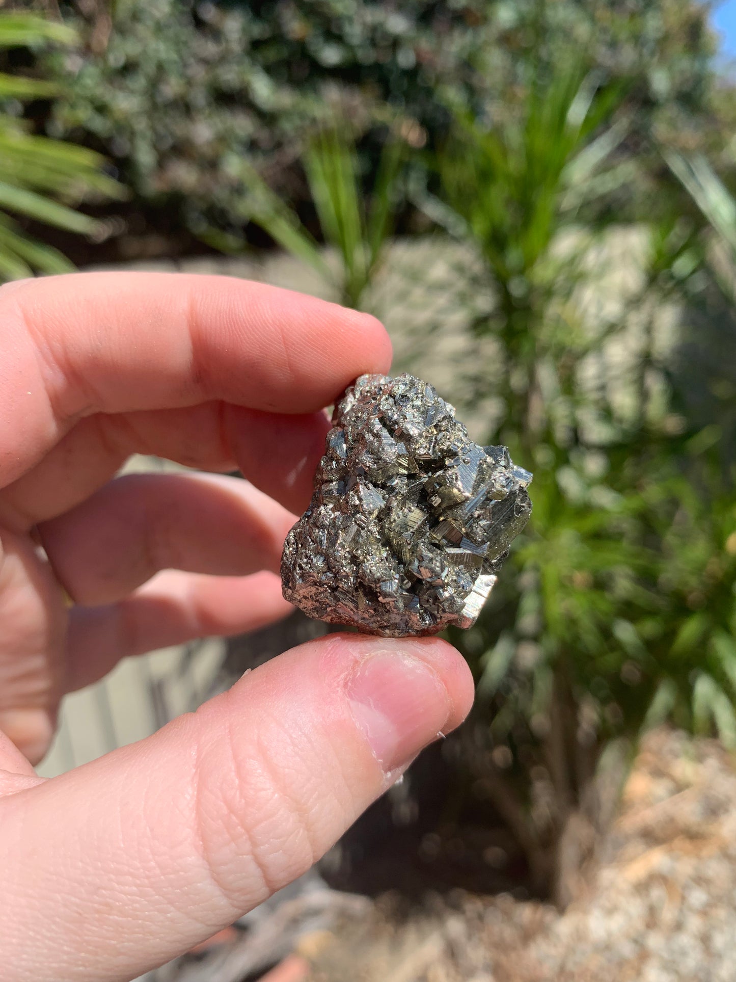 Pyrite Raw