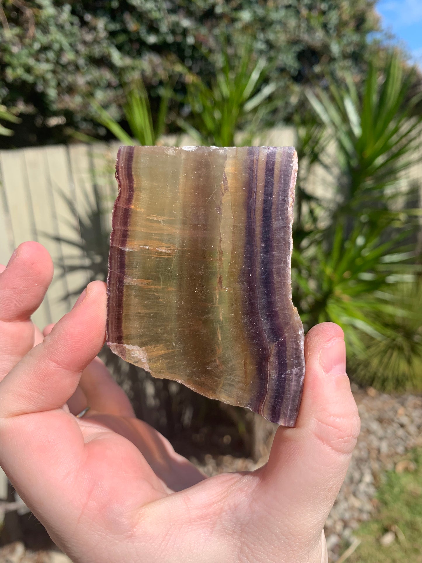 Yellow Fluorite Slab