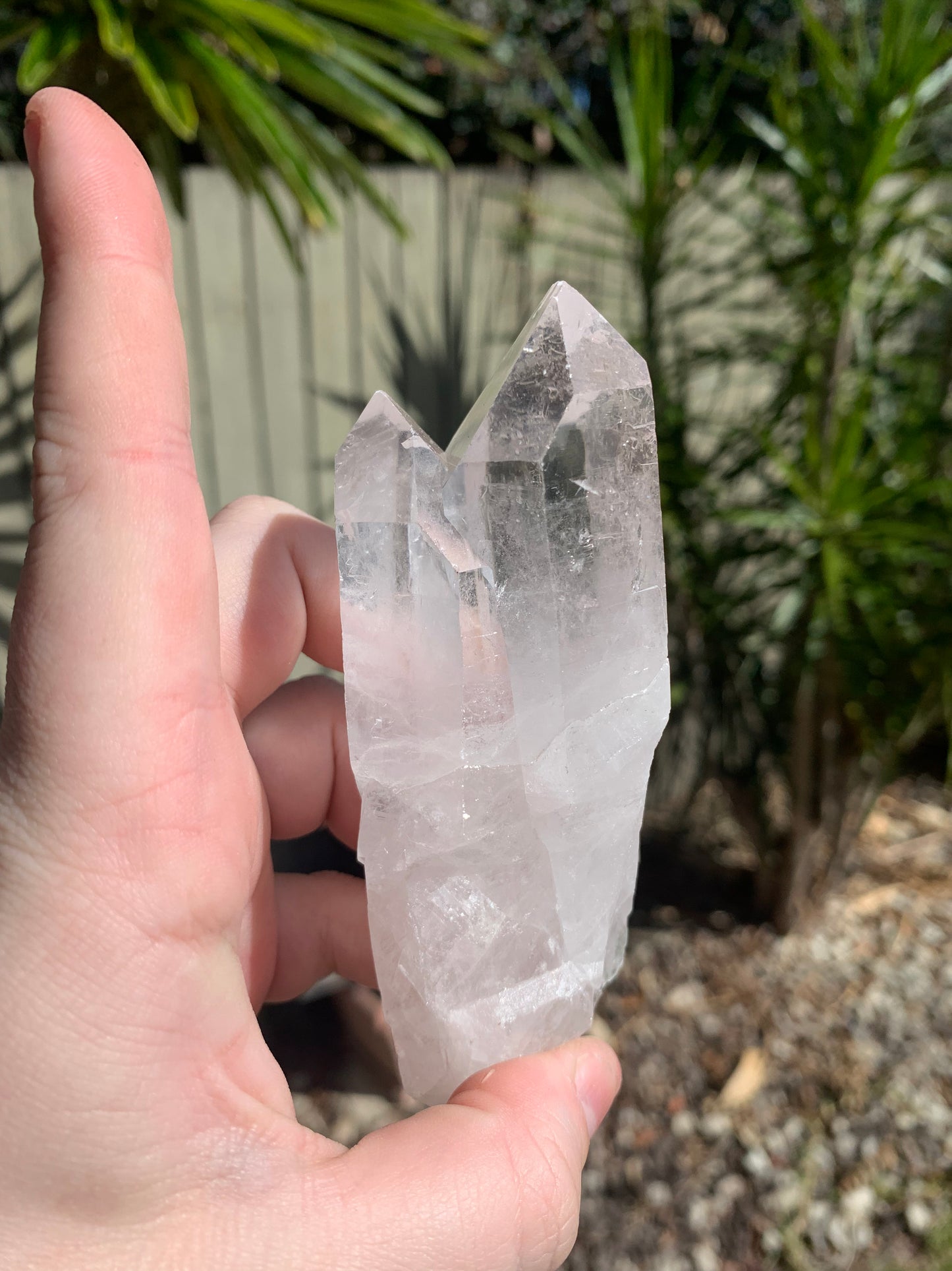 Clear Quartz Cluster