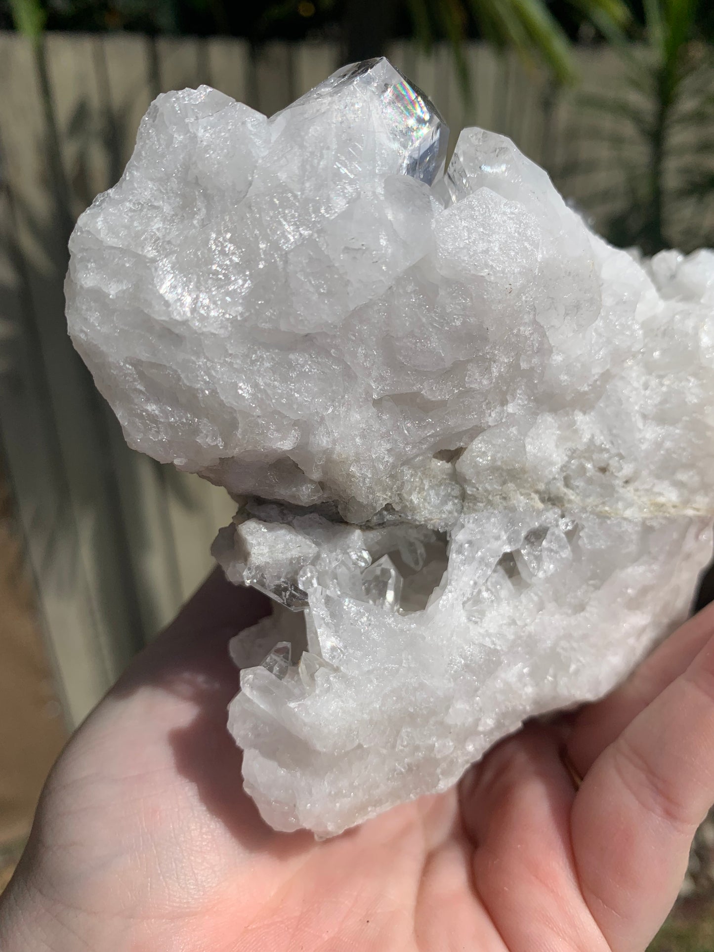 Clear Quartz Cluster