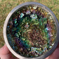 Bismuth Bowl