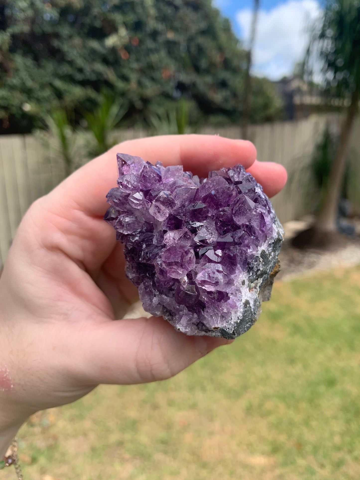 Amethyst Cluster