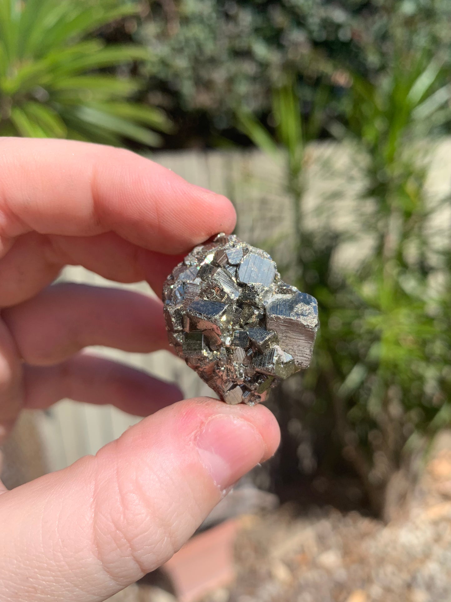 Pyrite Raw