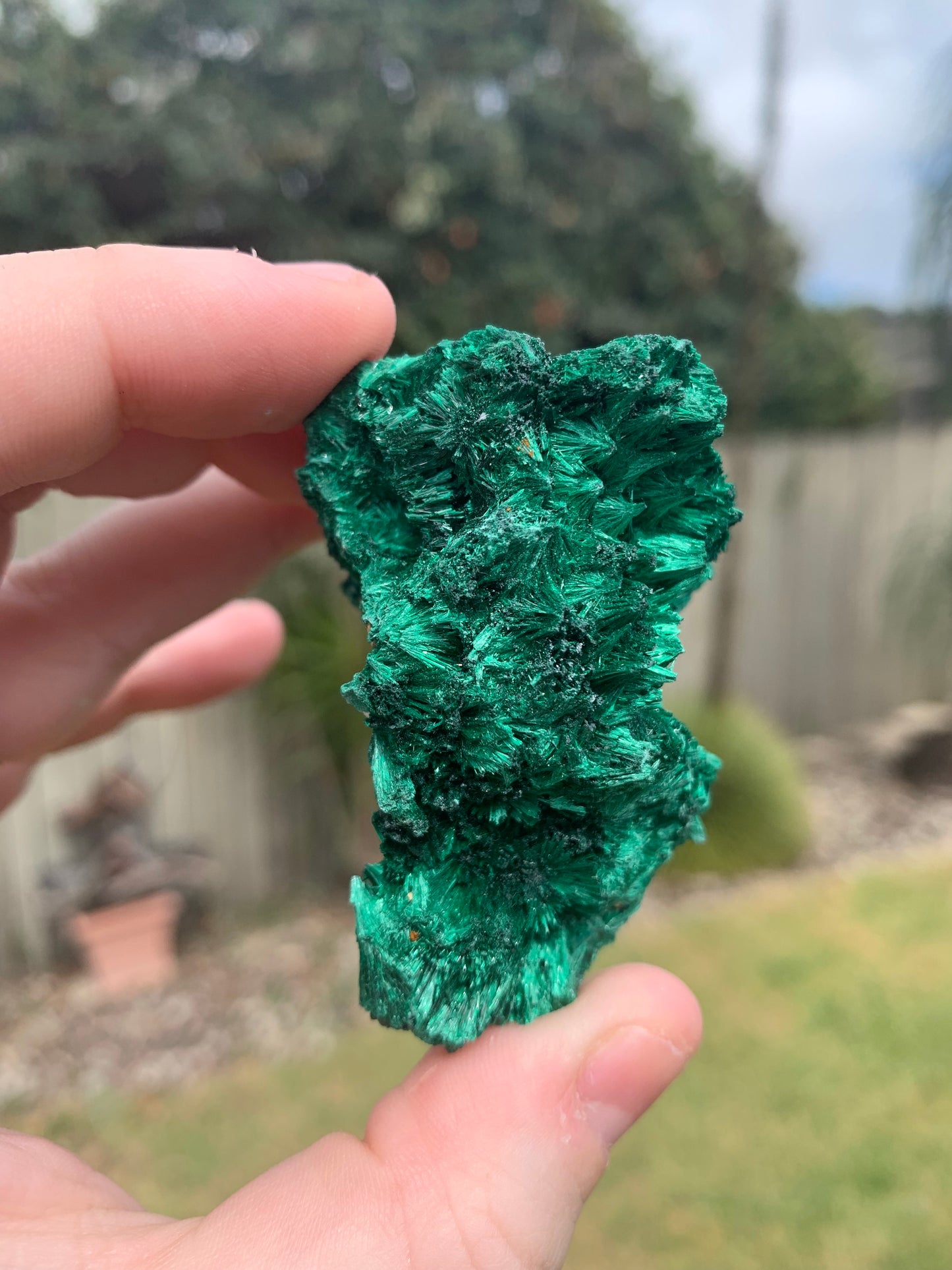 Malachite Specimen