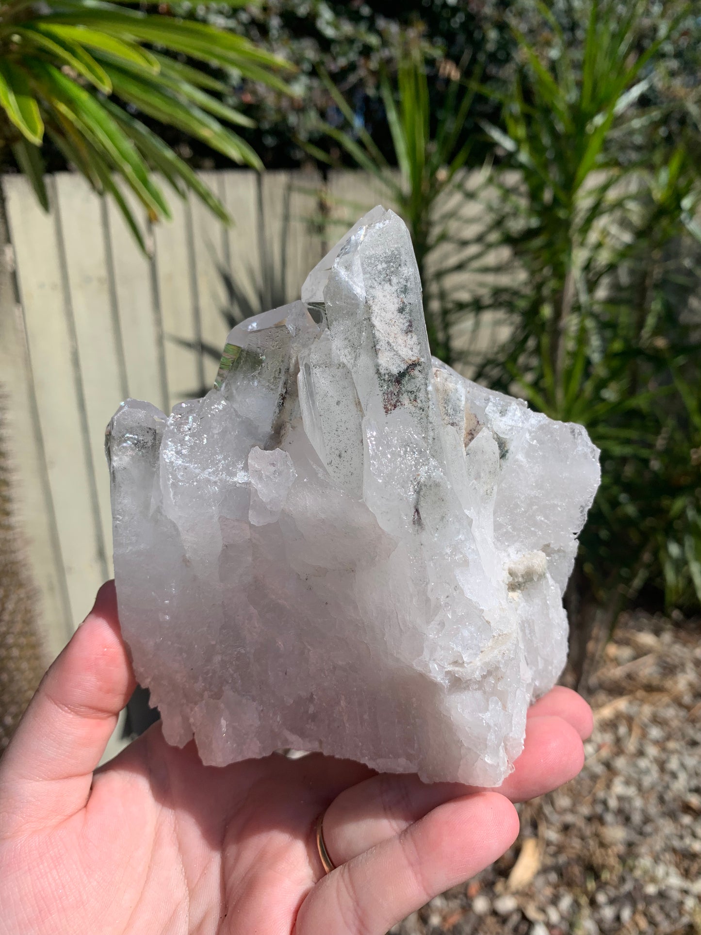 Clear Quartz Cluster