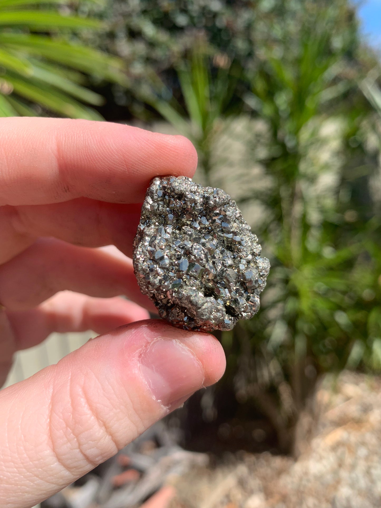 Pyrite Raw