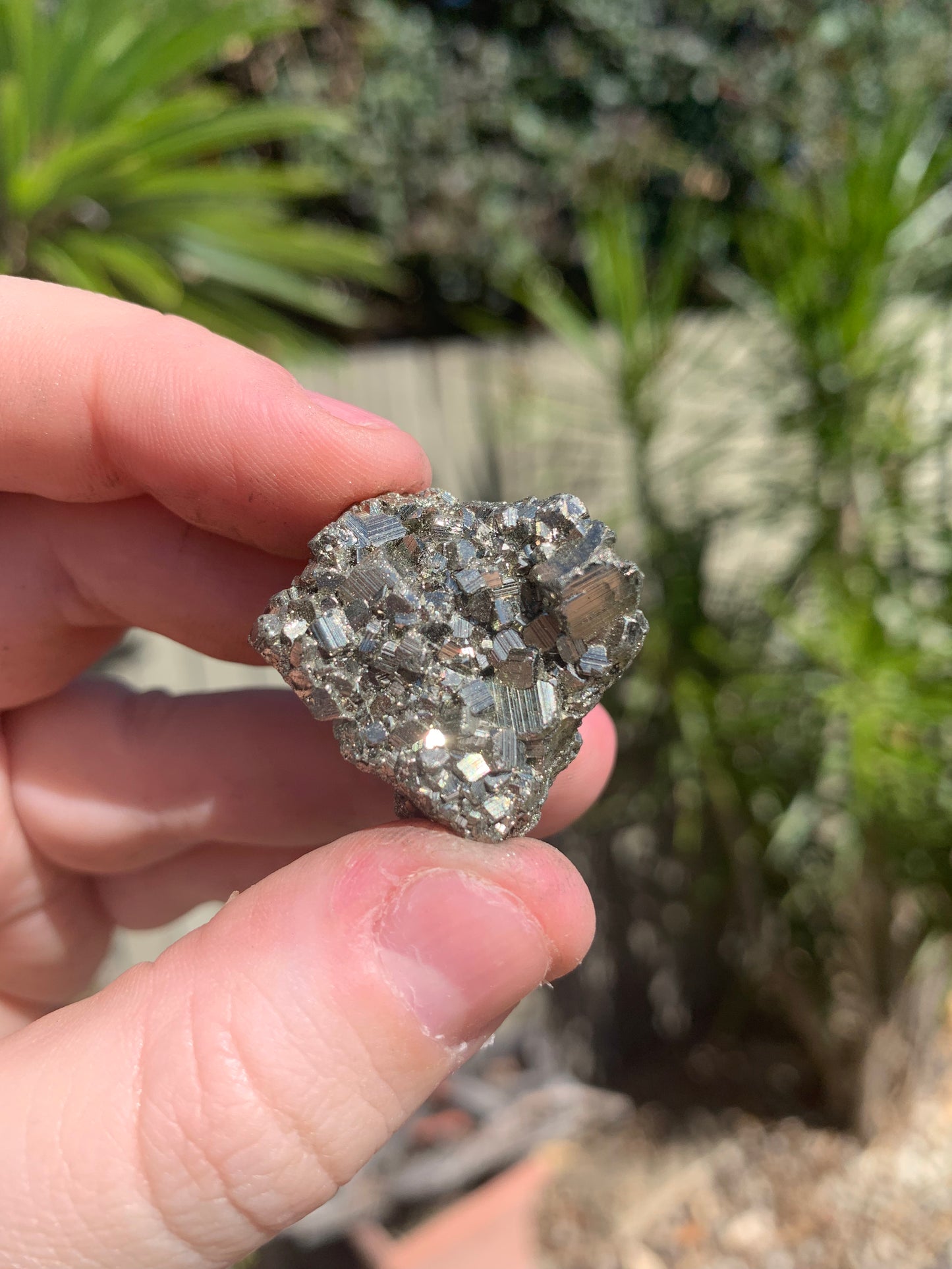 Pyrite Raw