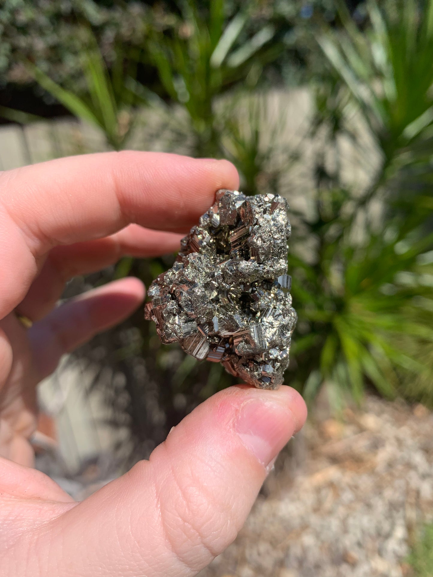 Pyrite Raw