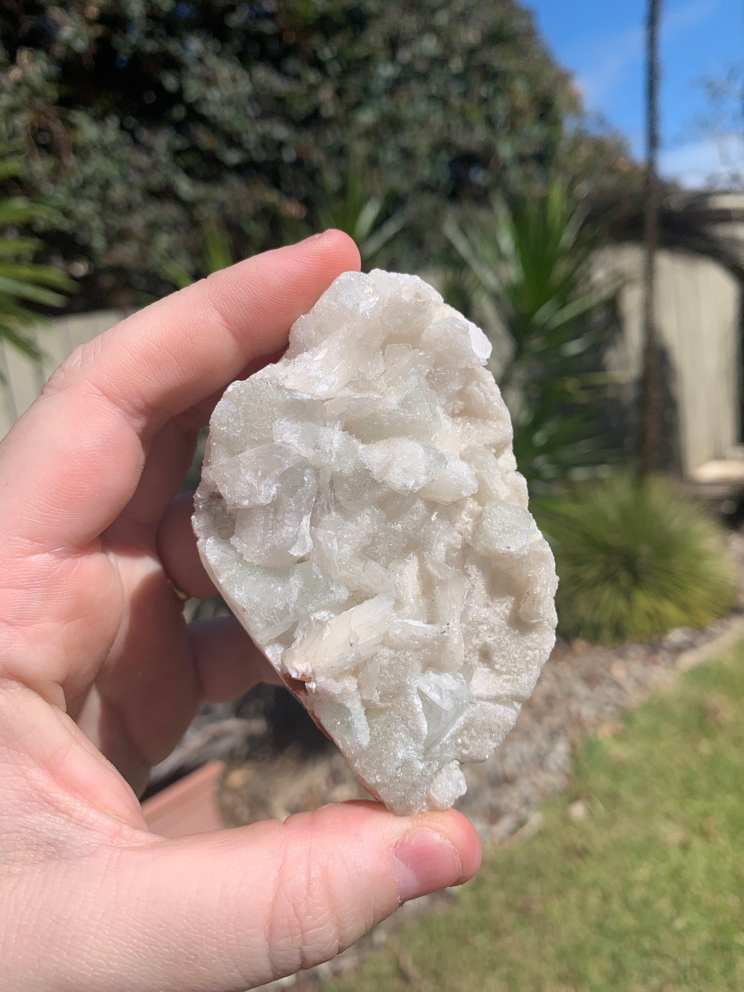 Apophyllite Cluster