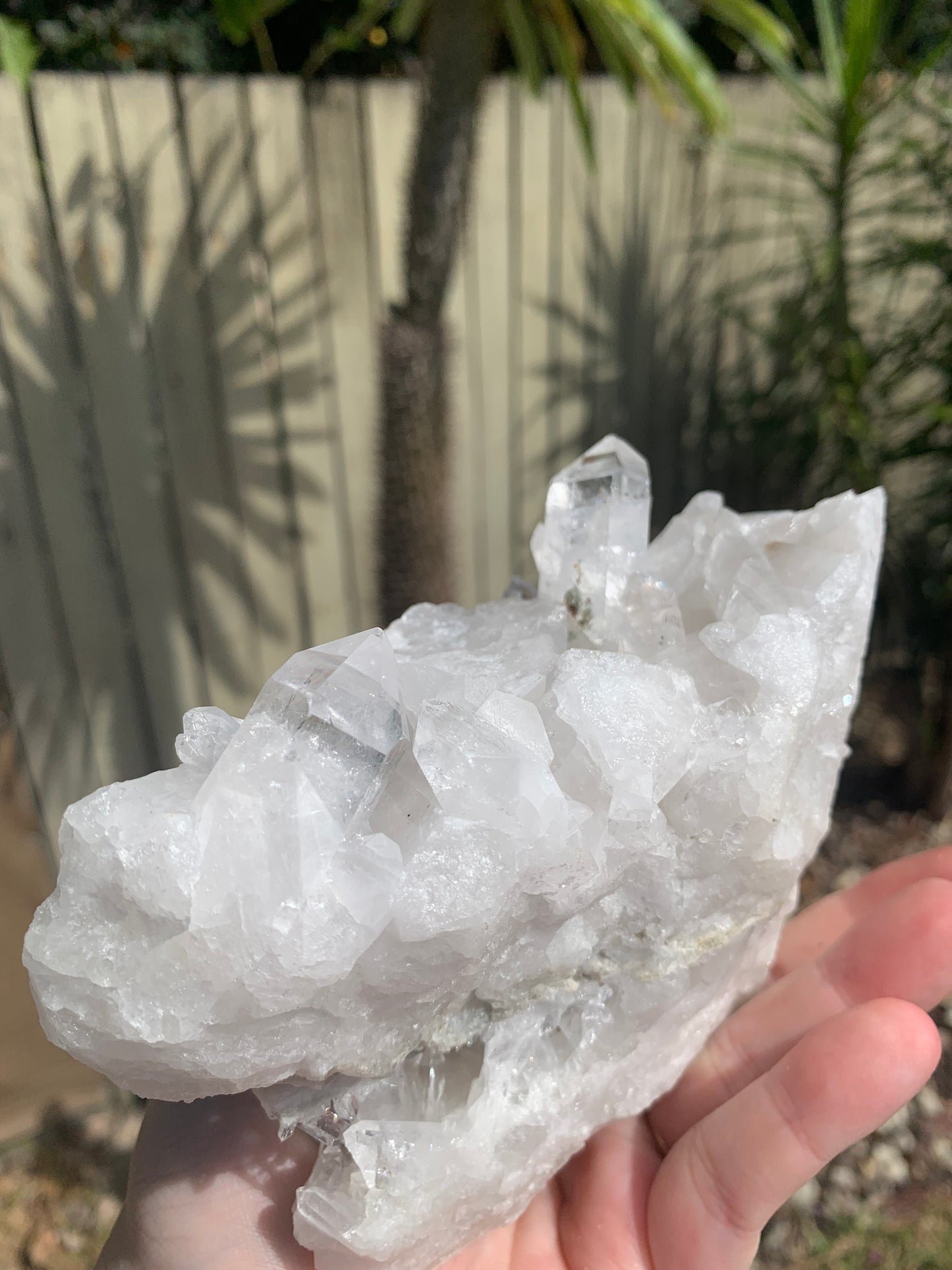 Clear Quartz Cluster