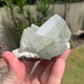 Green Apophyllite Cluster