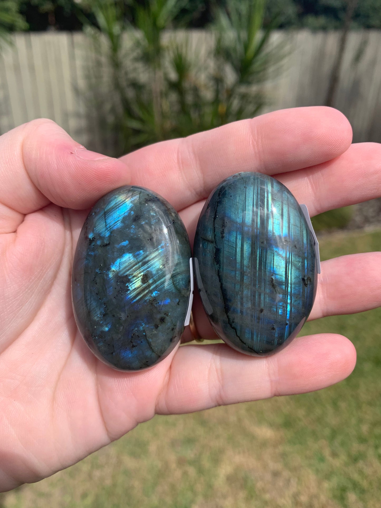 Labradorite Palmstone