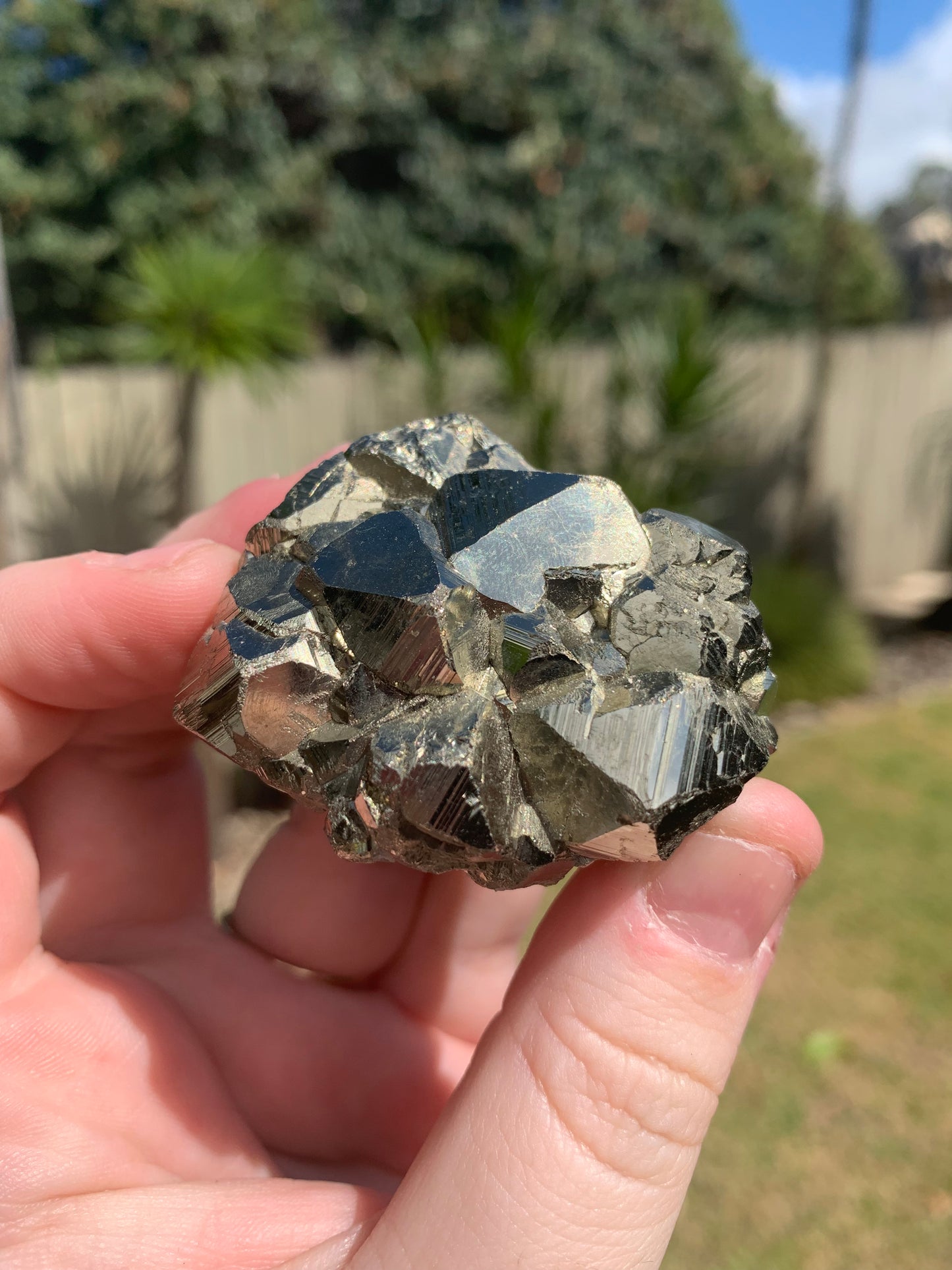 Pyrite Chunk