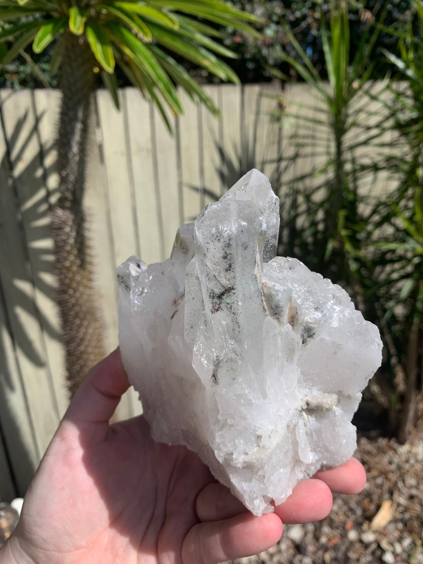 Clear Quartz Cluster