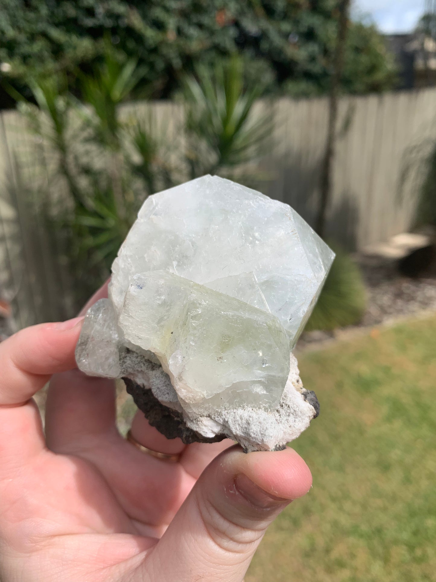 Green Apophyllite Cluster