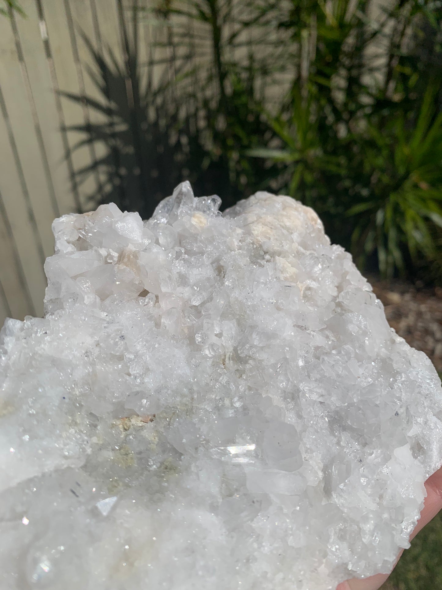 Clear Quartz Cluster