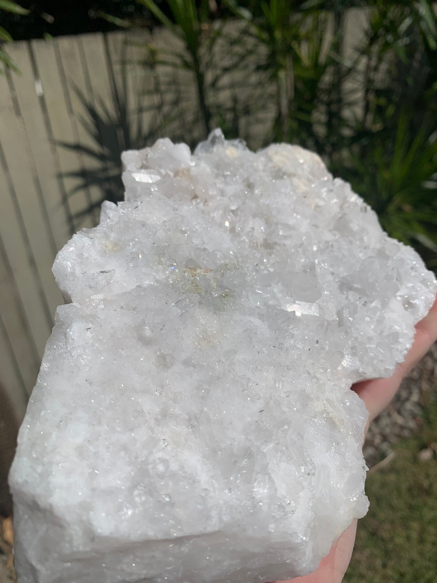 Clear Quartz Cluster