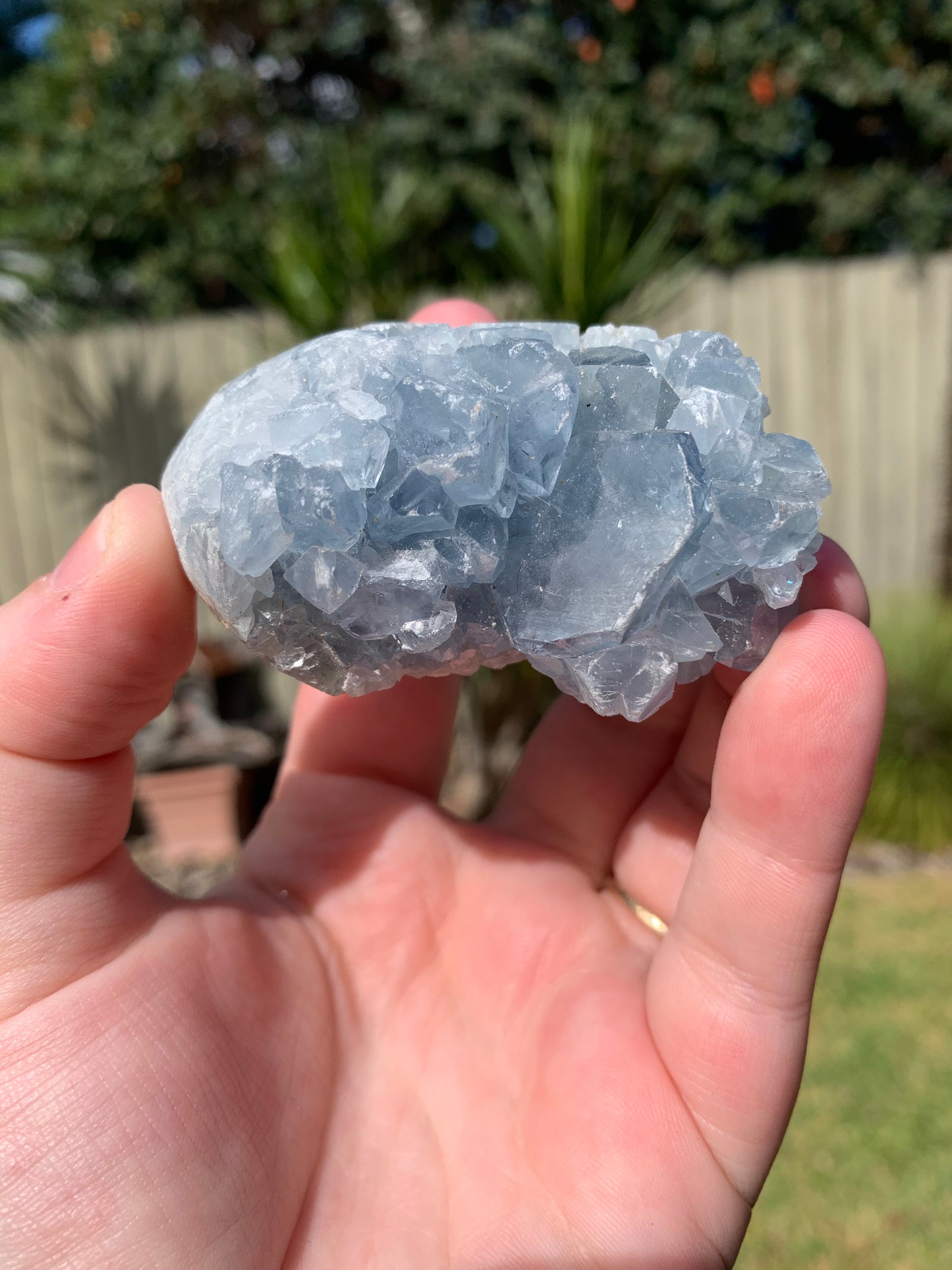 Celestite Freeform