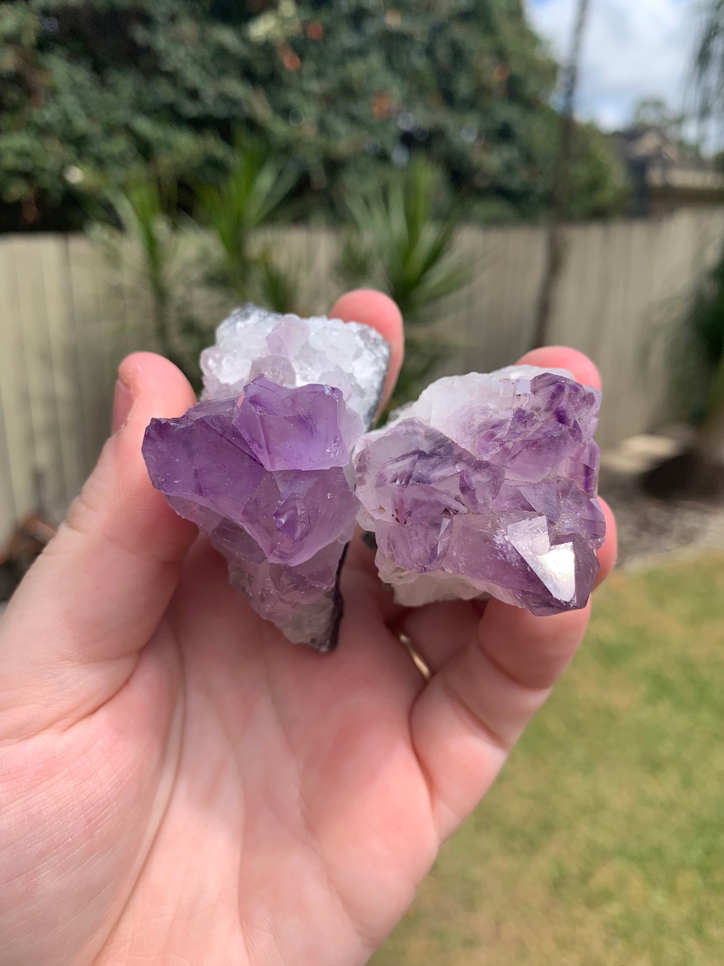 Amethyst Cluster