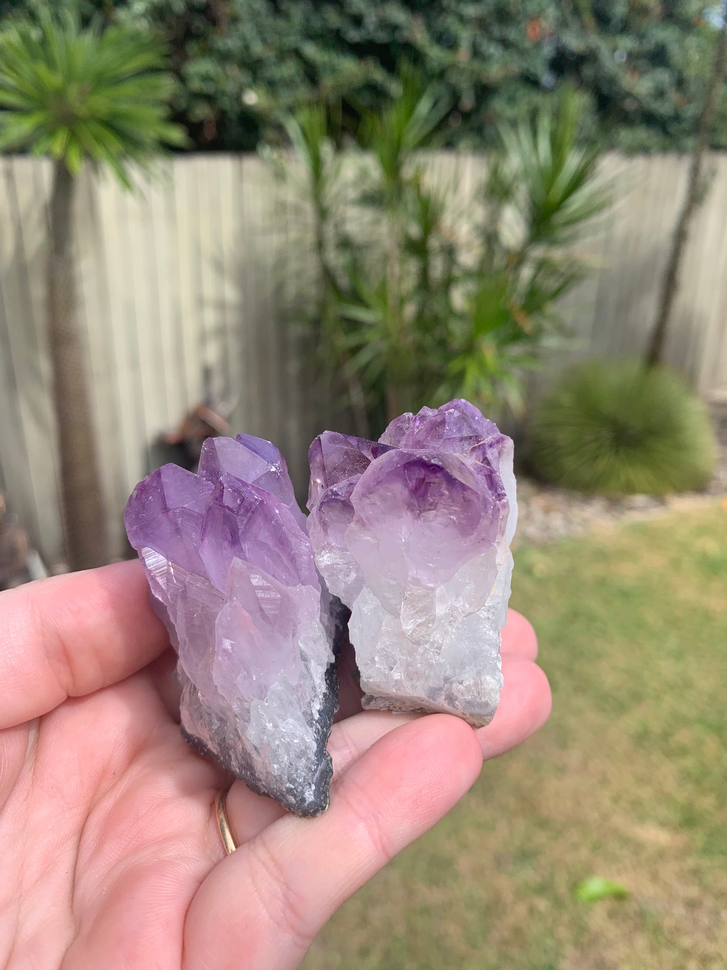 Amethyst Cluster