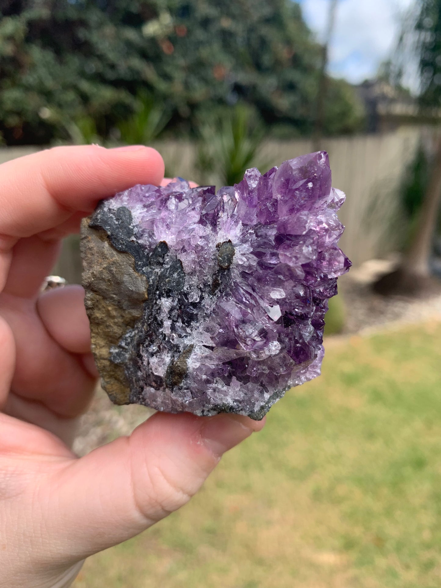 Amethyst Cluster