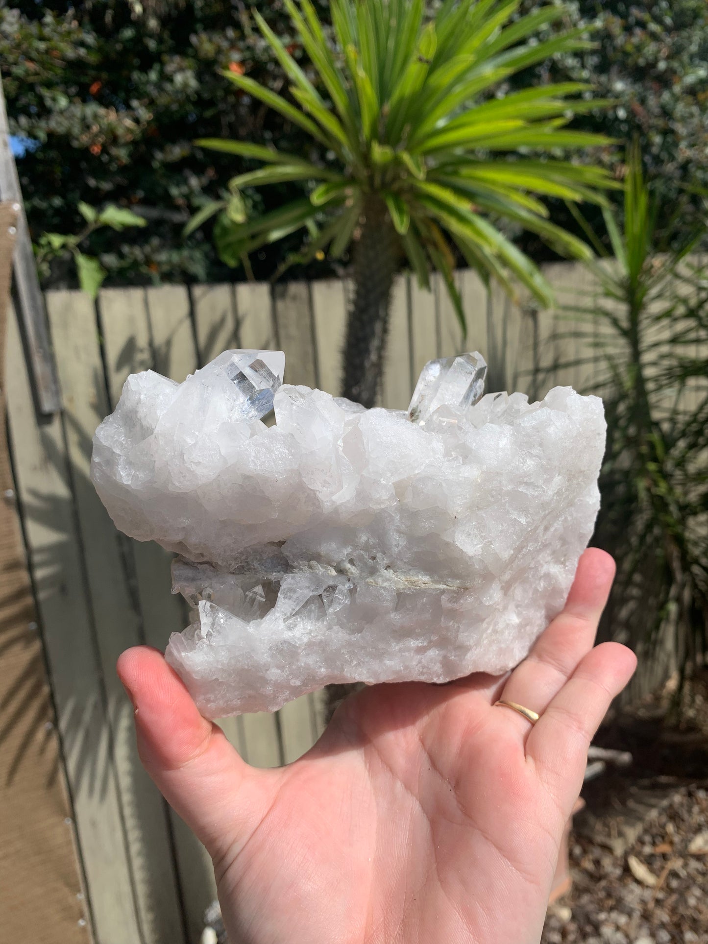 Clear Quartz Cluster