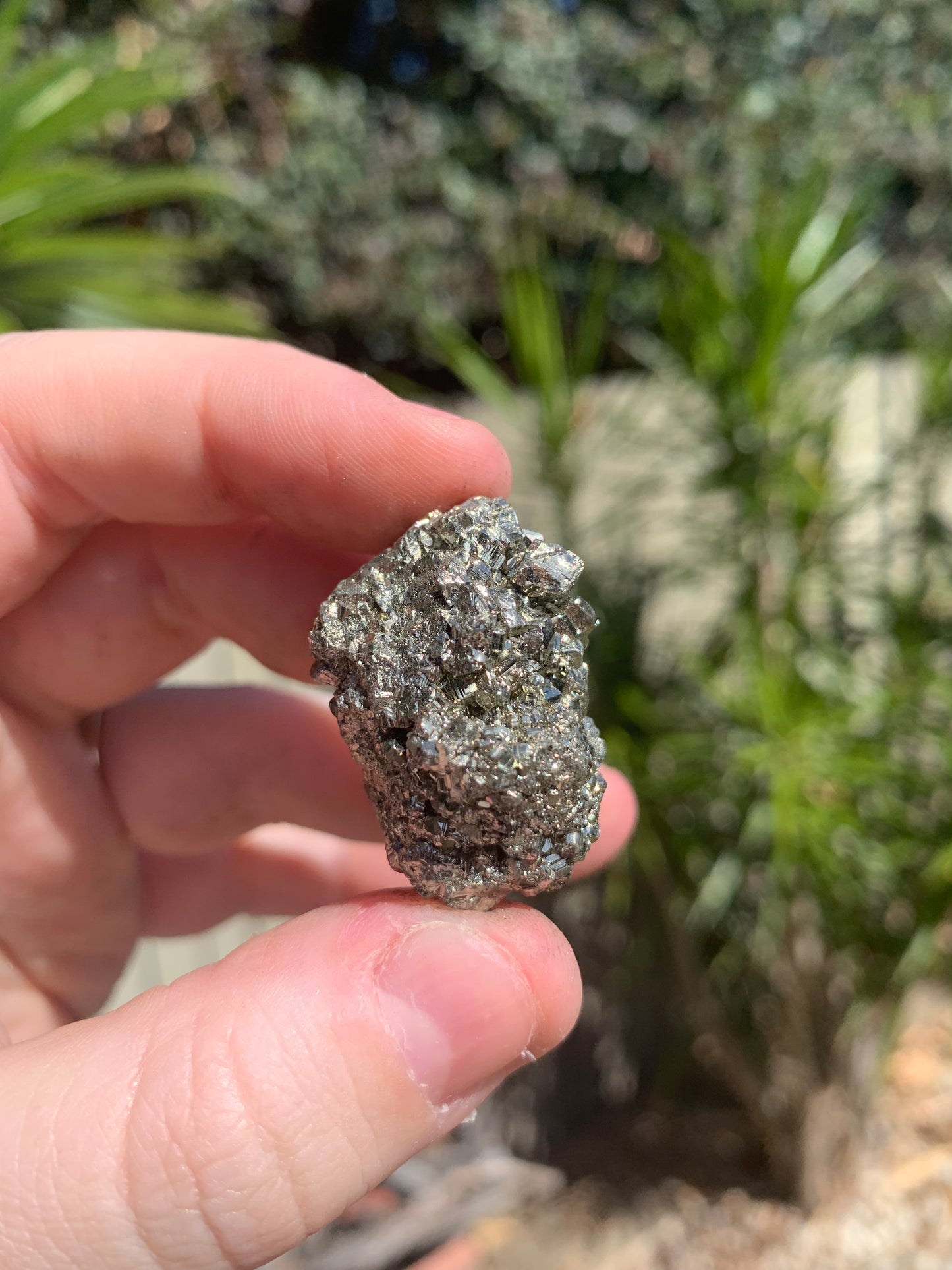 Pyrite Raw