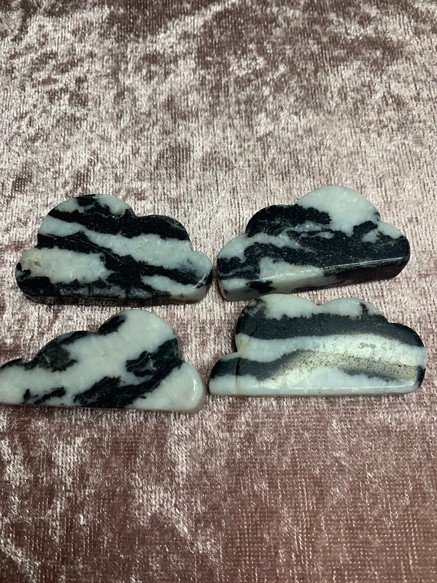 Zebra Jasper Cloud