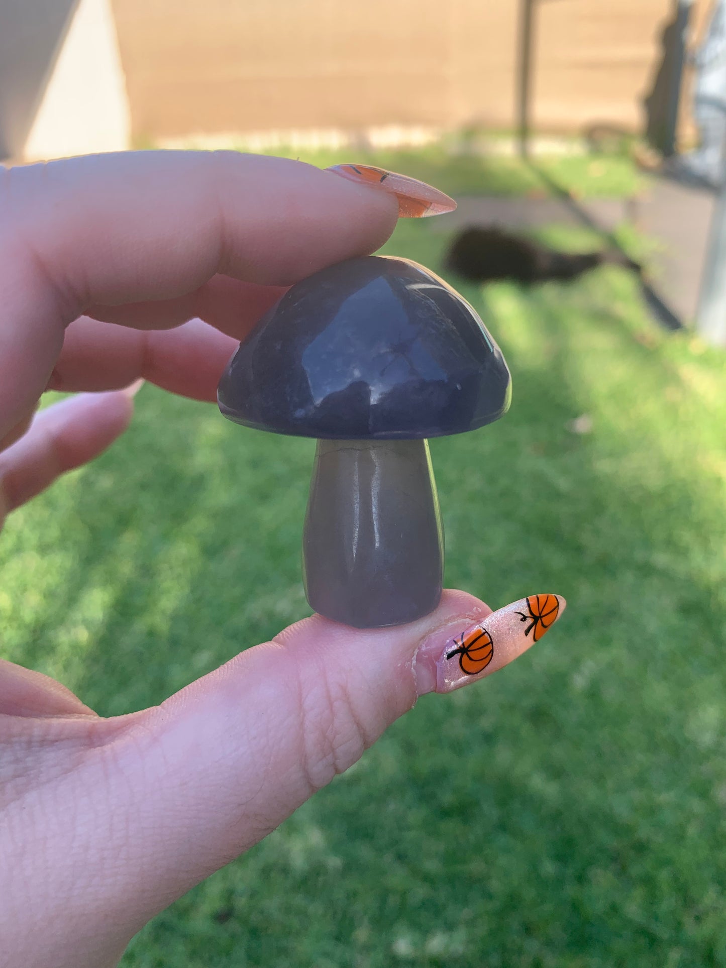 Fluorite Mushroom