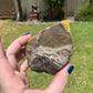 Bumblebee Jasper Slab