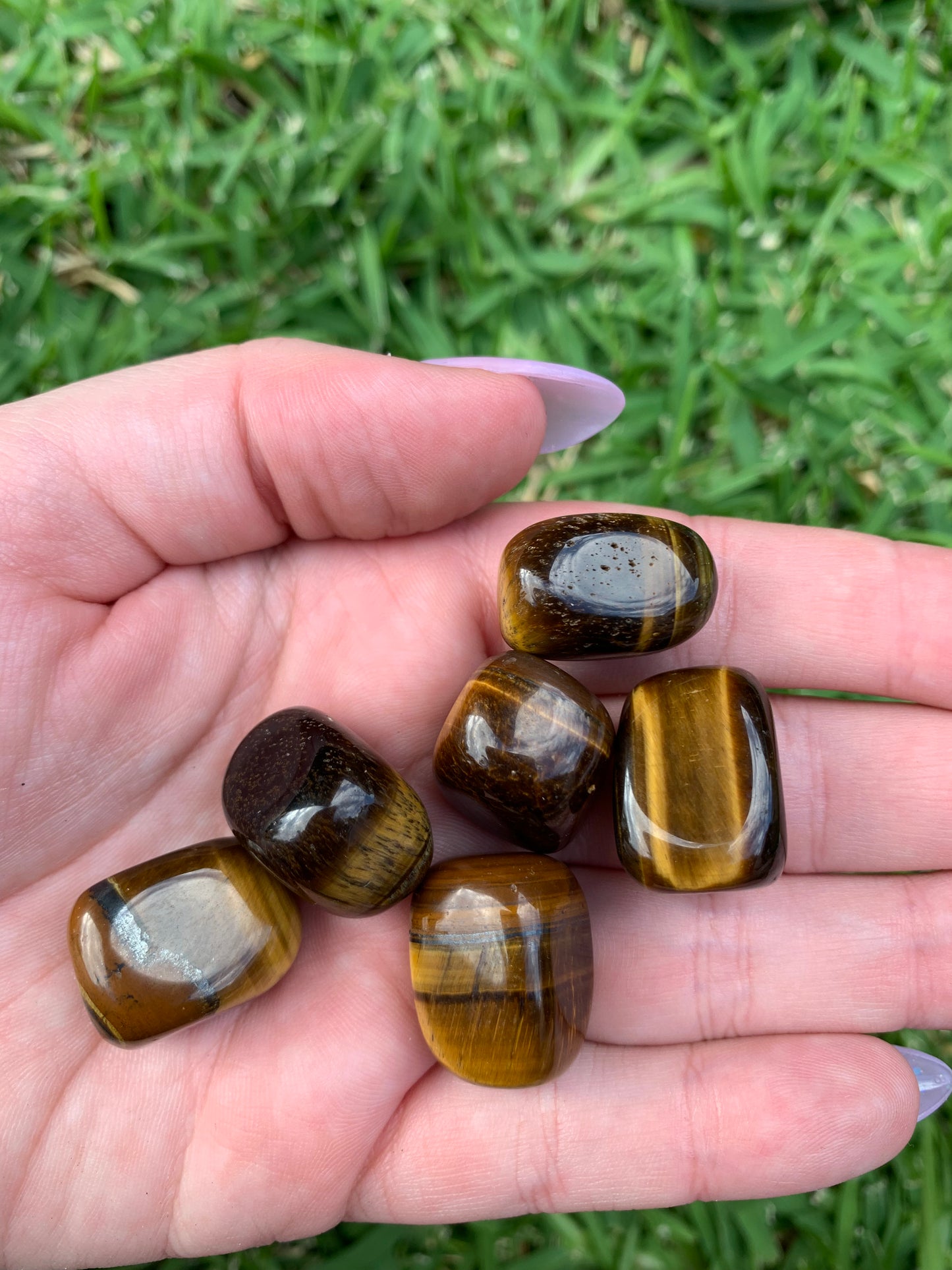 Small Tigers Eye Tumble