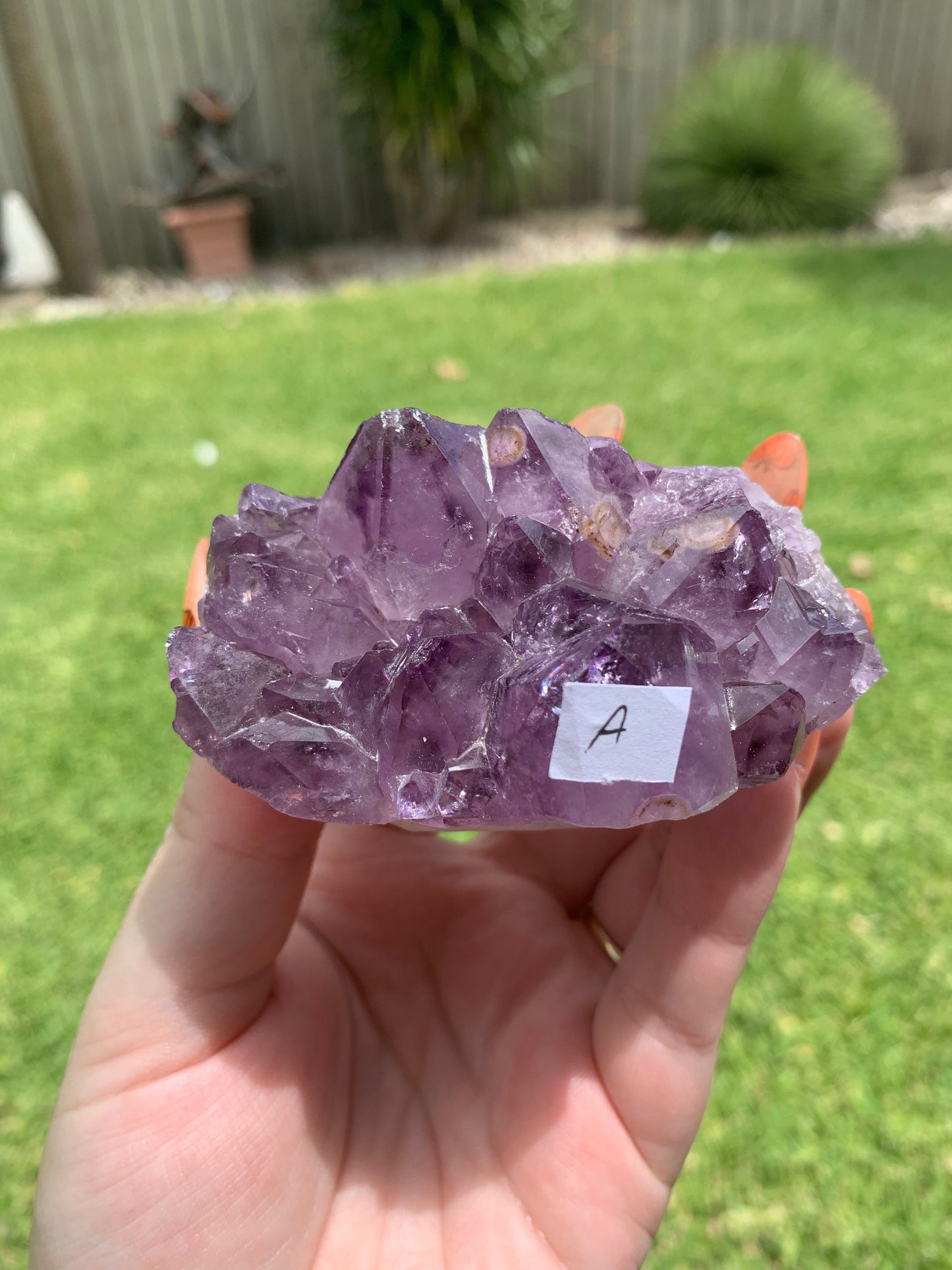 Amethyst Cluster Hedgehog