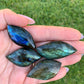 Labradorite Leaf