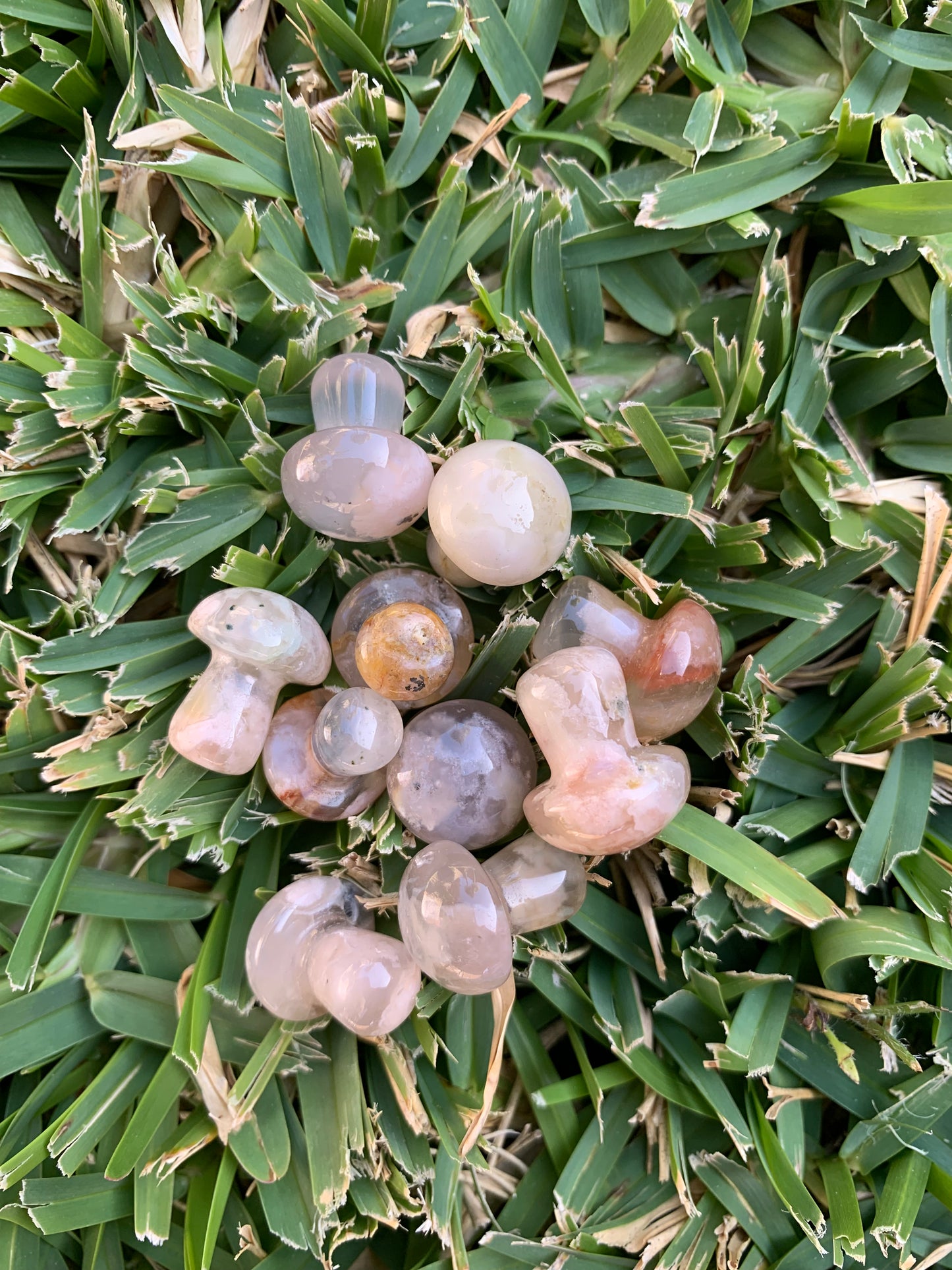 Mini Flower Agate Mushroom