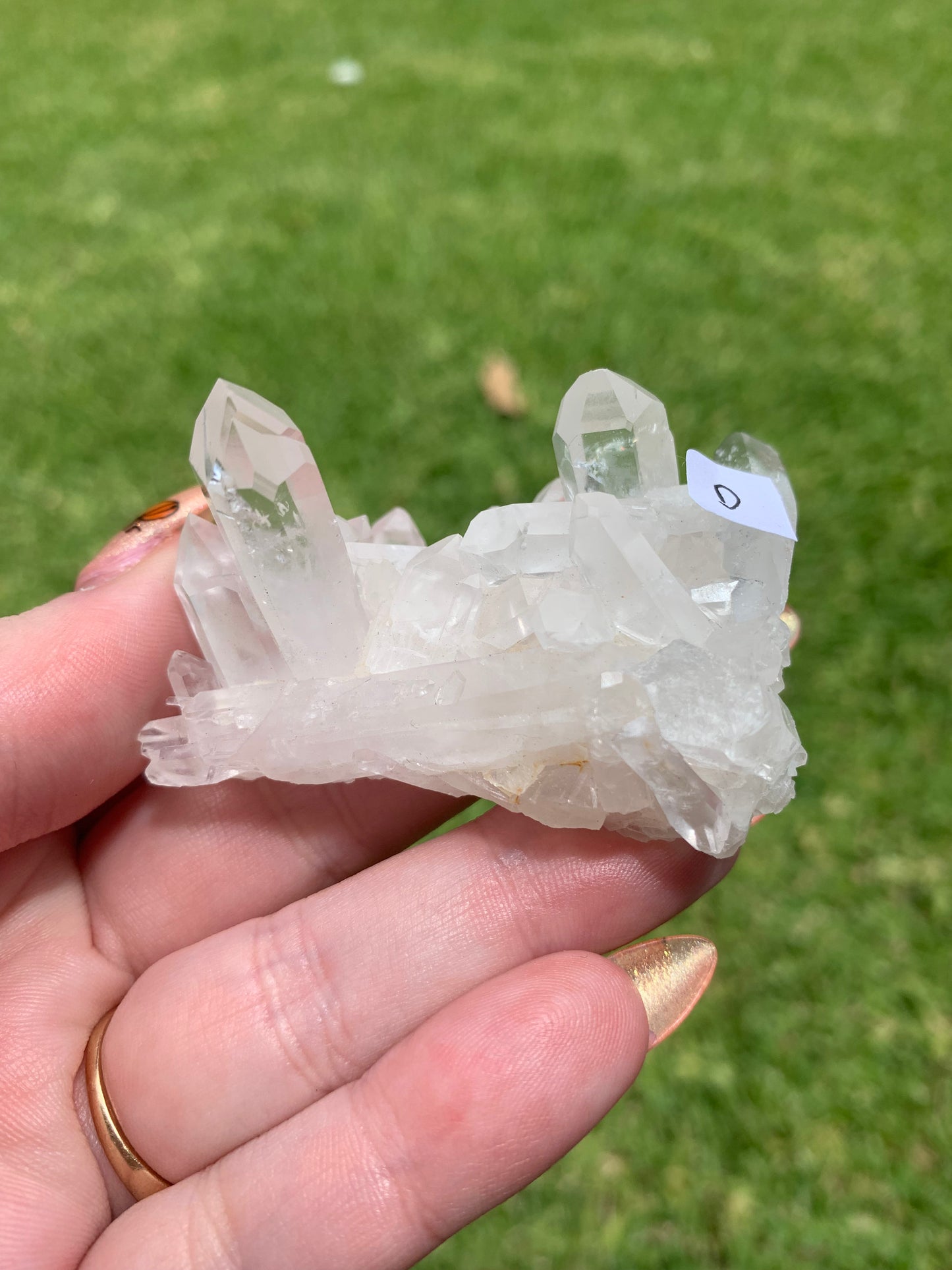 Clear Quartz Cluster