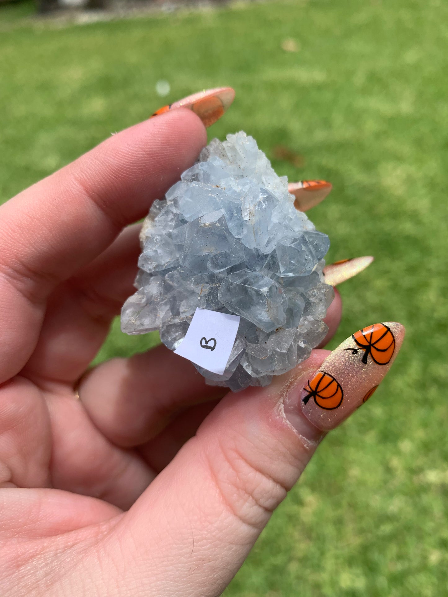 Celestite Cluster