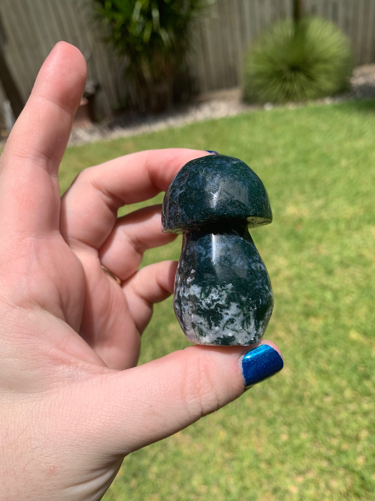 Moss Agate Mushroom