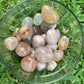Small Flower Agate Tumble